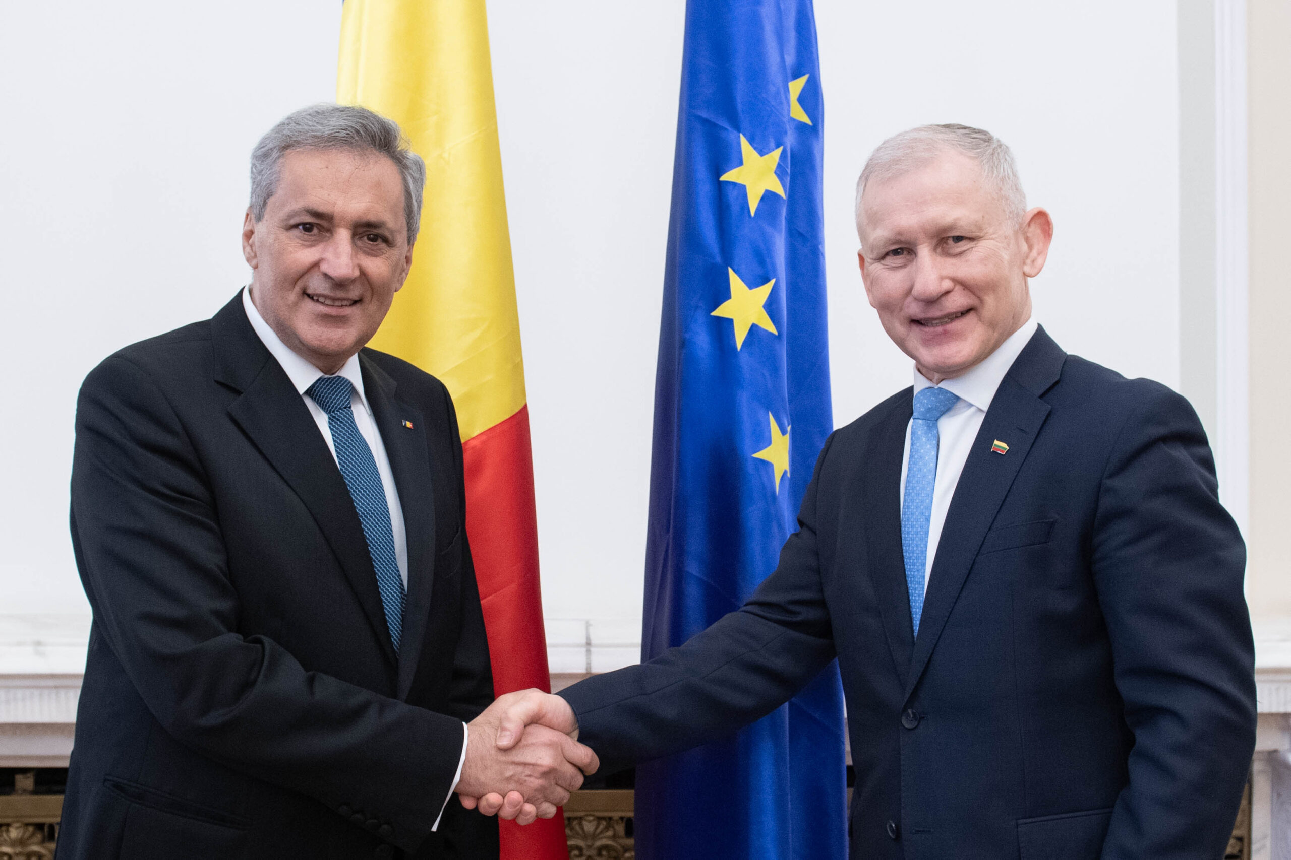 Întrevederea senatorului Ion-Marcel Vela cu  delegația Grupului parlamentar de prietenie cu România din Parlamentul Republicii Lituania
