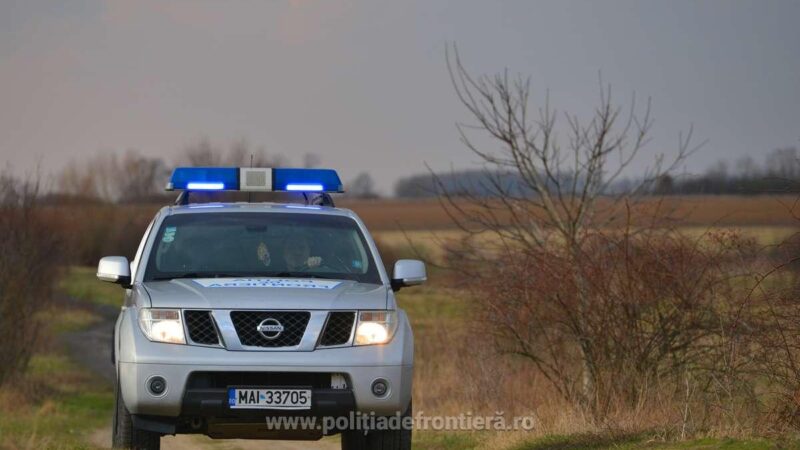 Granițele cărășene cu Serbia sunt sigure! 13 turci, 7 indieni și 5 șoferi români călăuze reținuți la Moldova Veche și Naidăș