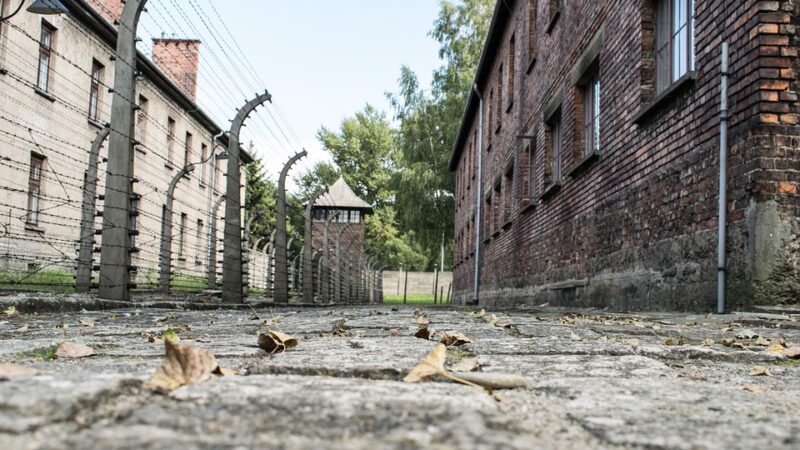Ziua Internațională de comemorare a victimelor Holocaustului!