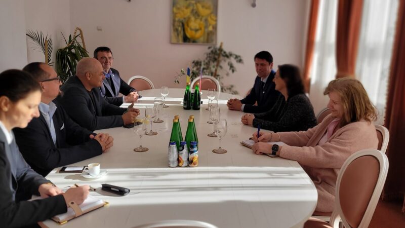 Ambasadoarea Republicii Cehe în România în vizită la Consiliul Județean