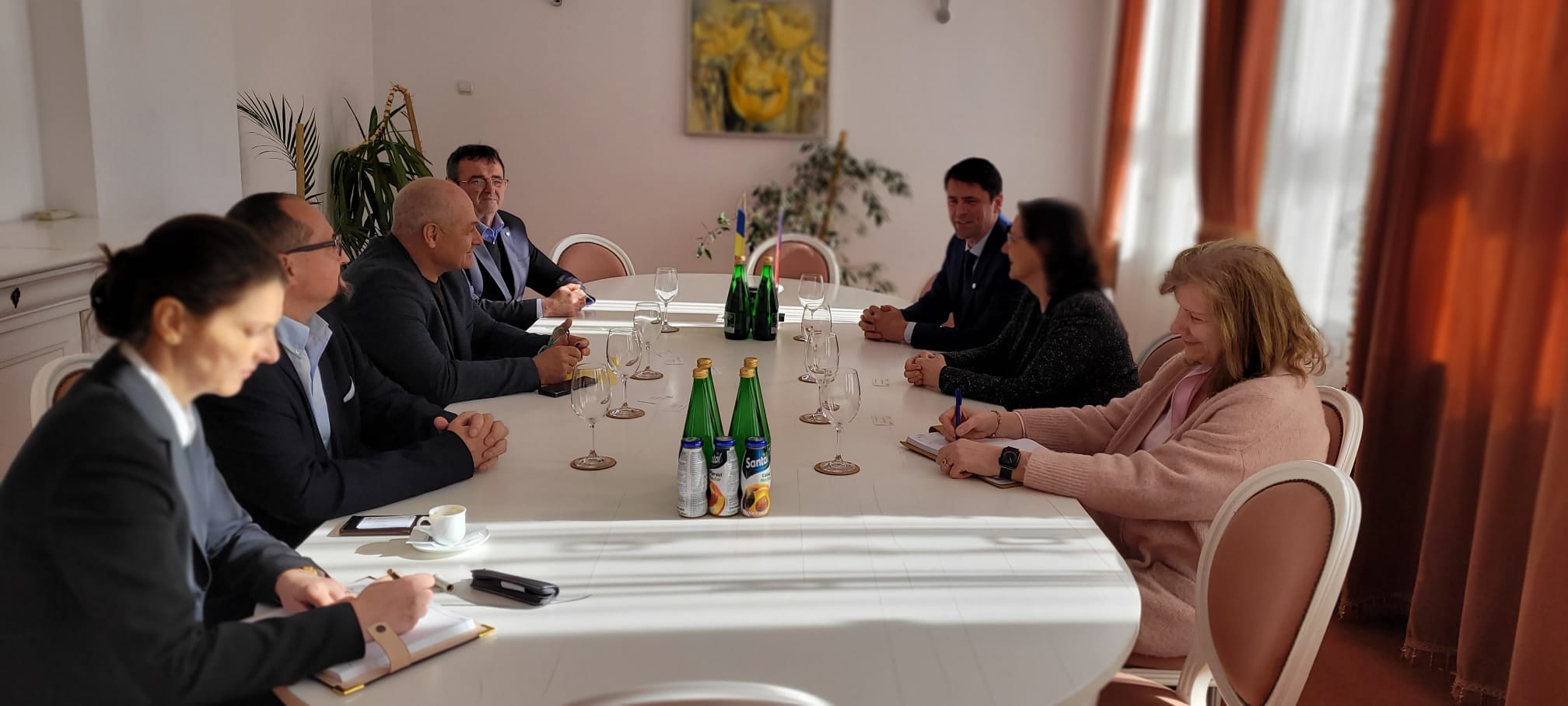 Ambasadoarea Republicii Cehe în România în vizită la Consiliul Județean