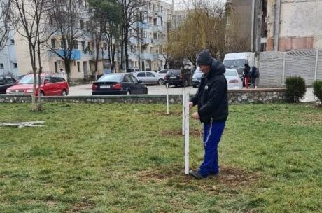 Primăria orașului Moldova Nouă a inițiat un nou demers de reamenajare a zonelor verzi