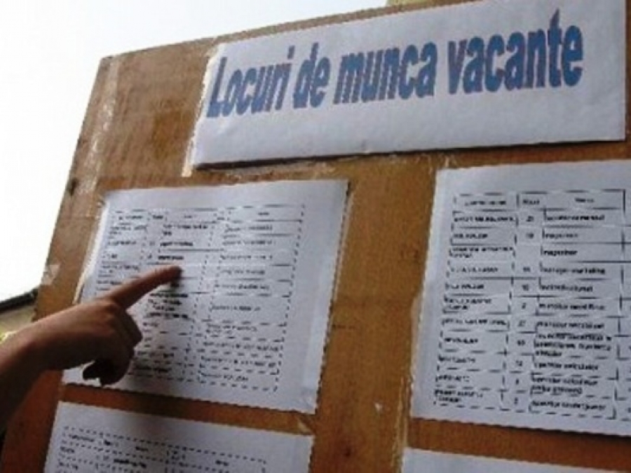 75 locuri de muncă sunt vacante prin AJOFM Caraș-Severin