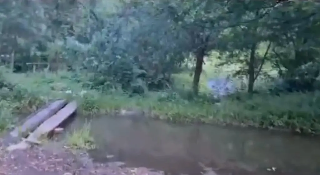 TRAGIC! Un copil de trei ani și-a găsit sfârșitul în albia unui râu