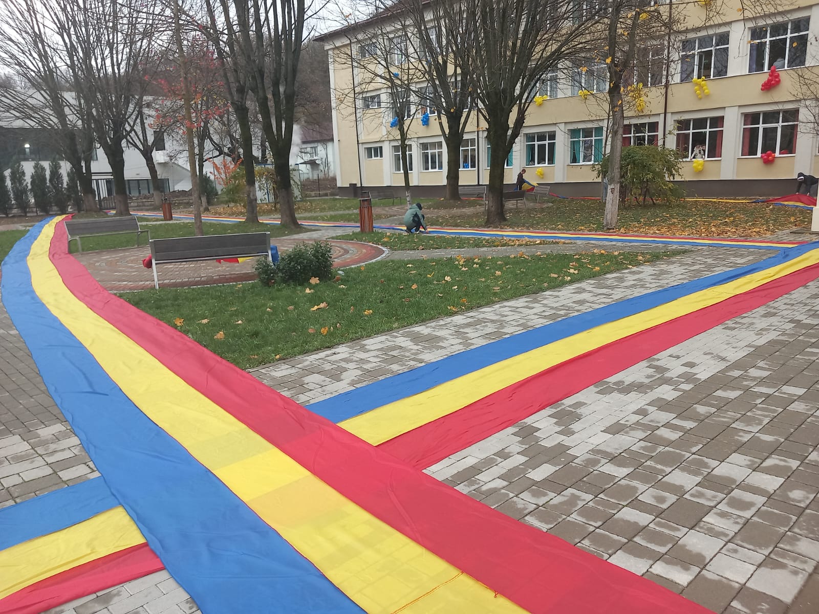 Marius Cornici, directorul Colegiului Naţional Mircea Eliade Reșița promovează proiectul: Eliade în tricolor de 1 Decembrie!