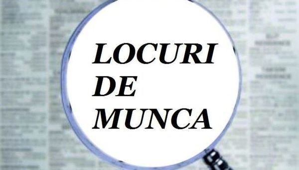 266 persoane angajate prin intermediul Agenţiei Judeţene pentru Ocuparea Forţei de Muncă Caraş-Severin în luna ianuarie 2024