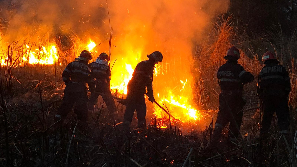 70 incendii de vegetație uscată! Au ars 315 hectare, 82 de baloți, 1,5 ha pomi fructiferi  și 1 ha de litieră și mărăciniș