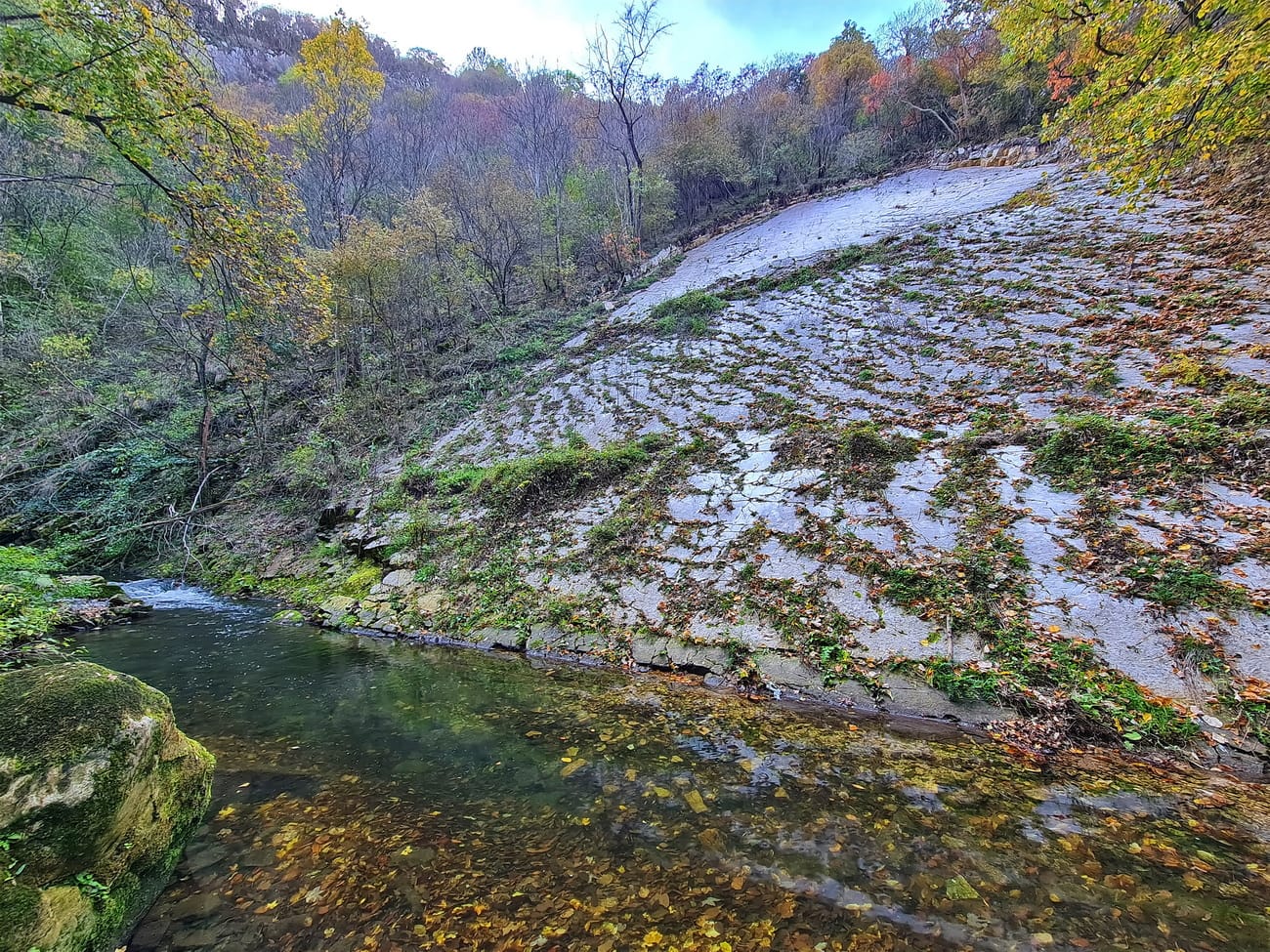 Cheile Gârliștei- rezervație naturală mixtă