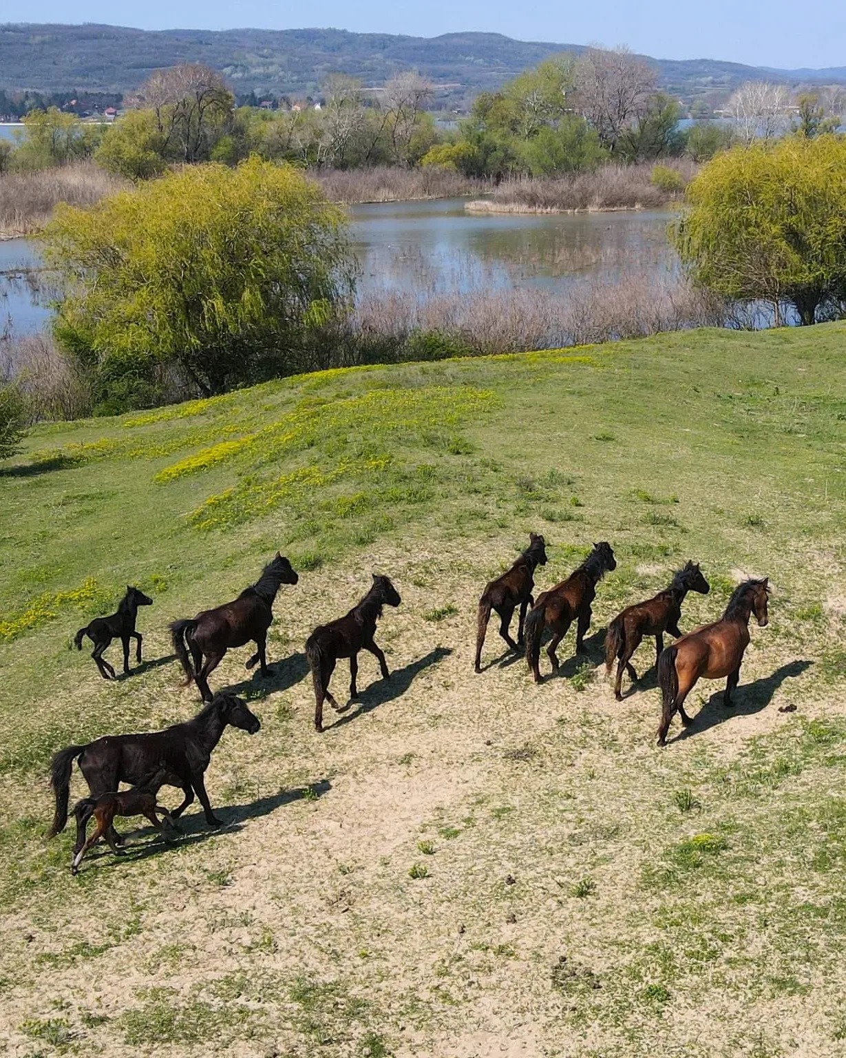 Insula Ostrov bijuteria naturii de lângă Moldova Noua